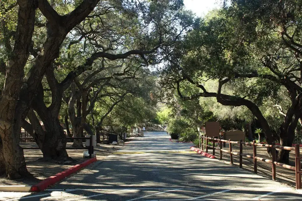 Grove Park